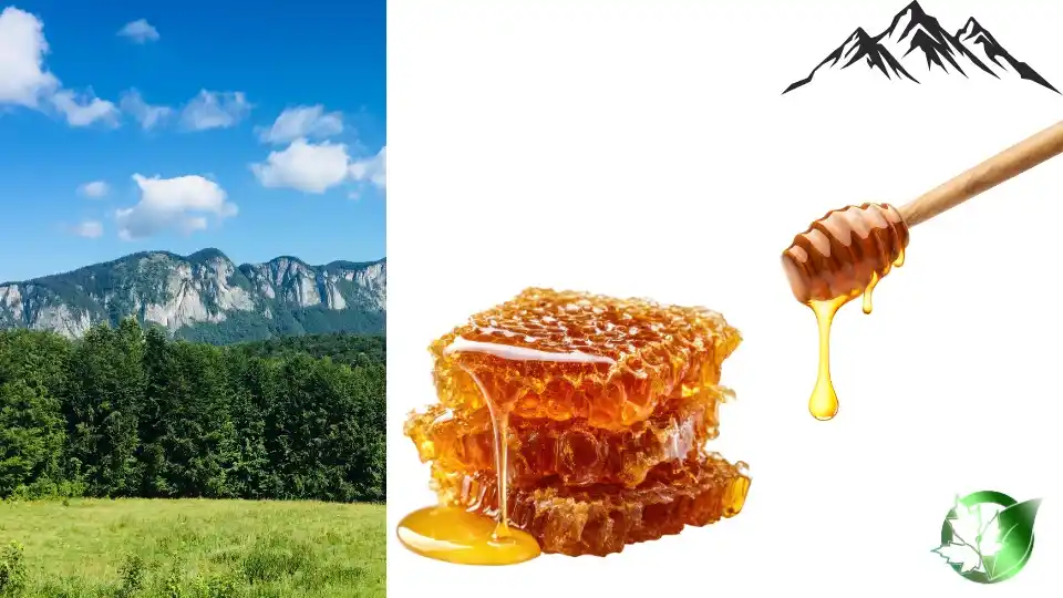Mountain Honey quality, format, and packaging should be matched to the buyer’s target application.